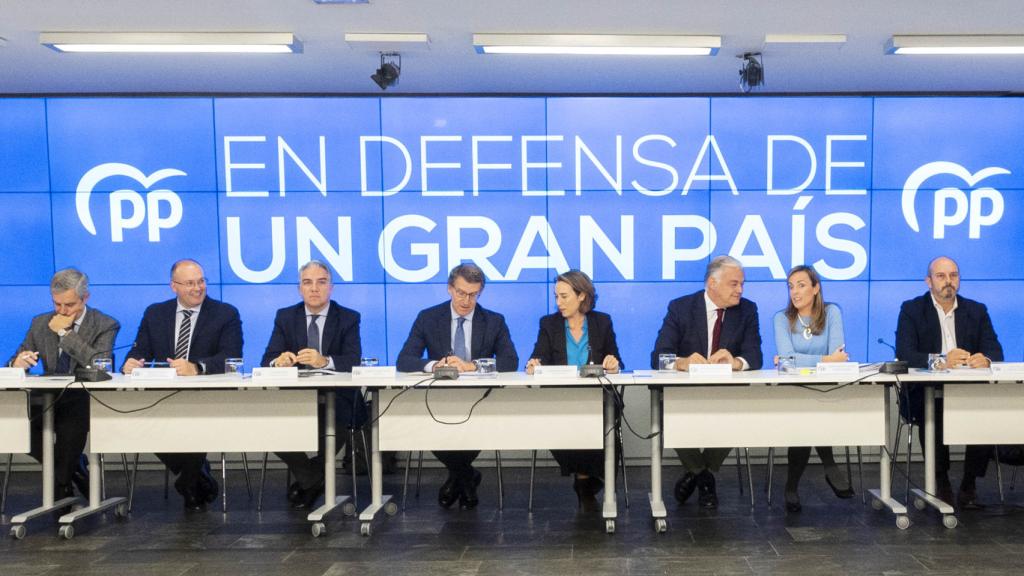 El líder del PP, Alberto Núñez-Feijóo, junto a los miembros de la dirección del PP en el Comité Ejecutivo Nacional.