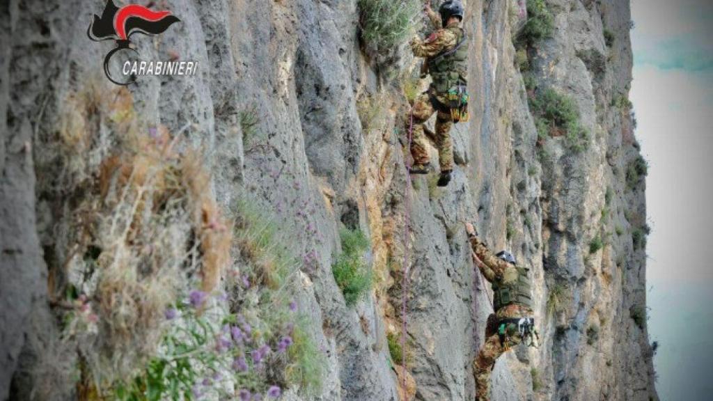 Los cazadores de mafiosos.