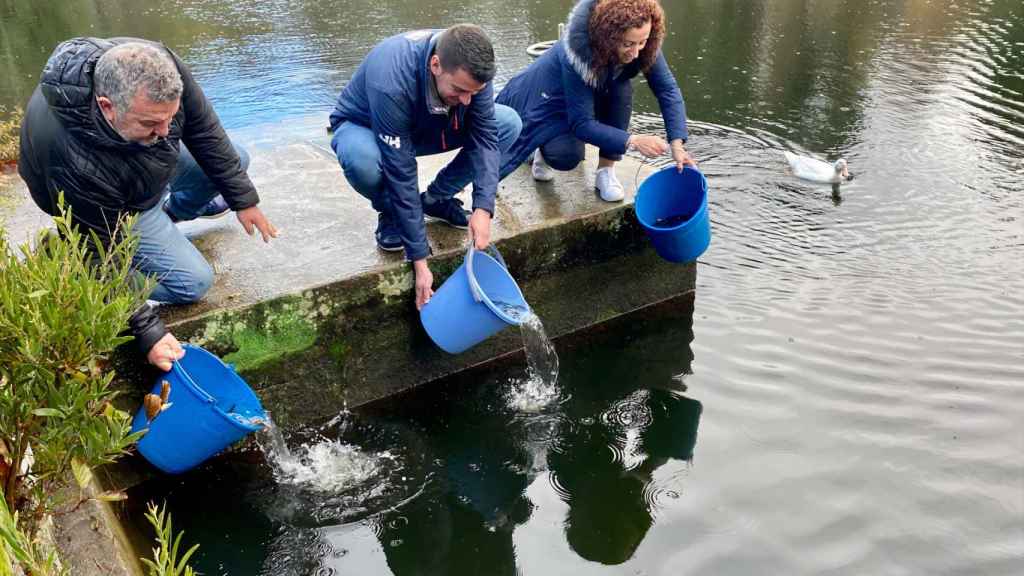 Repoblación del Lago Castiñeiras 2022.