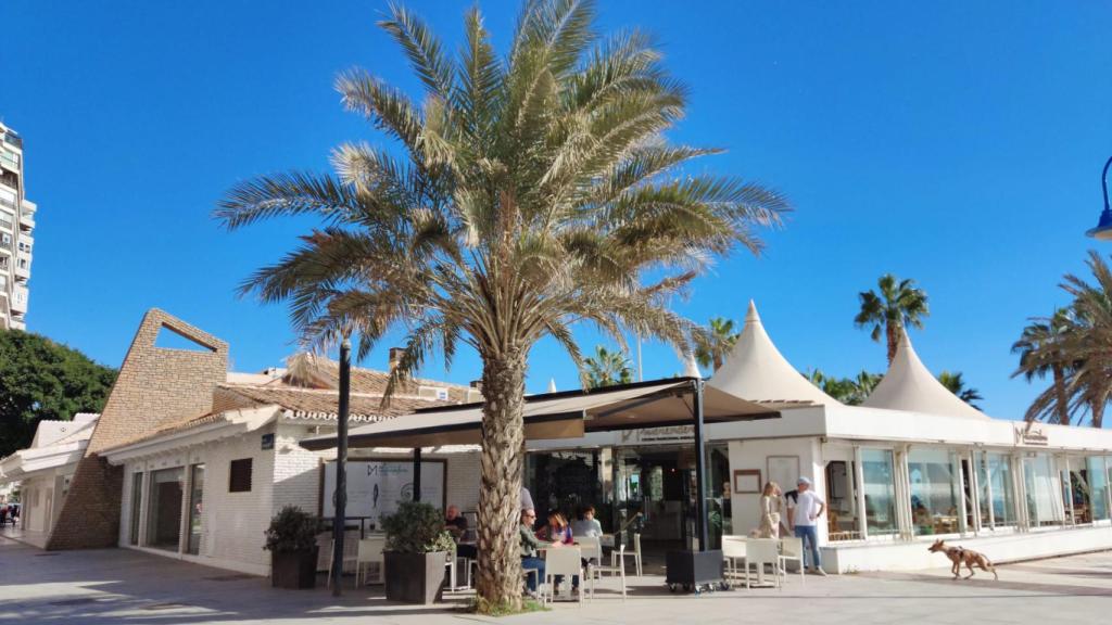 El chiringuito Antonio Martín.