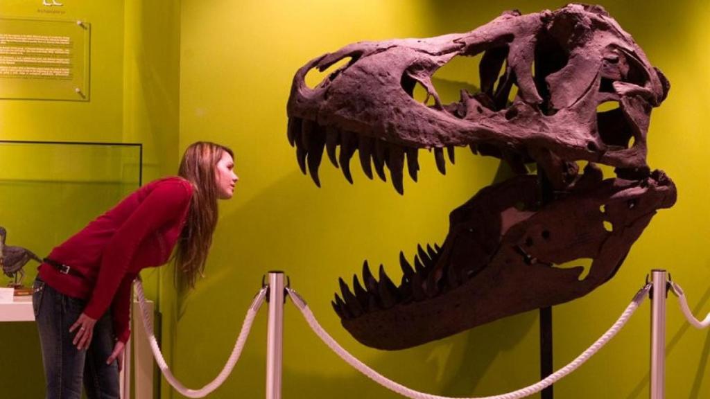 Una imagen característica de este museo.