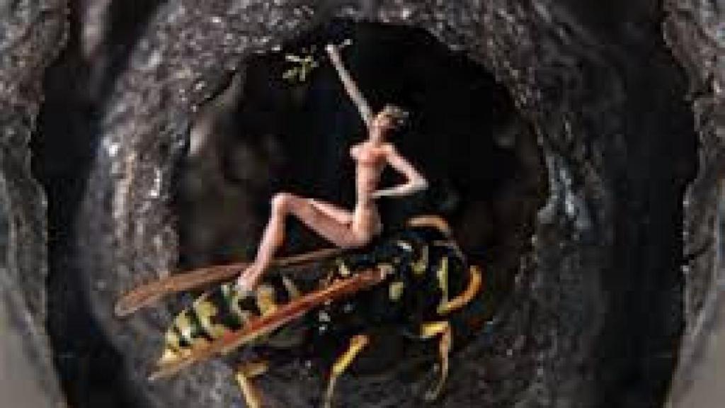 Recreación de una mujer dentro de un avispero.