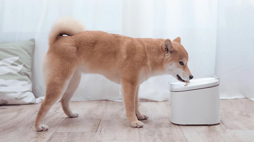 Xiaomi Smart Pet Fountain
