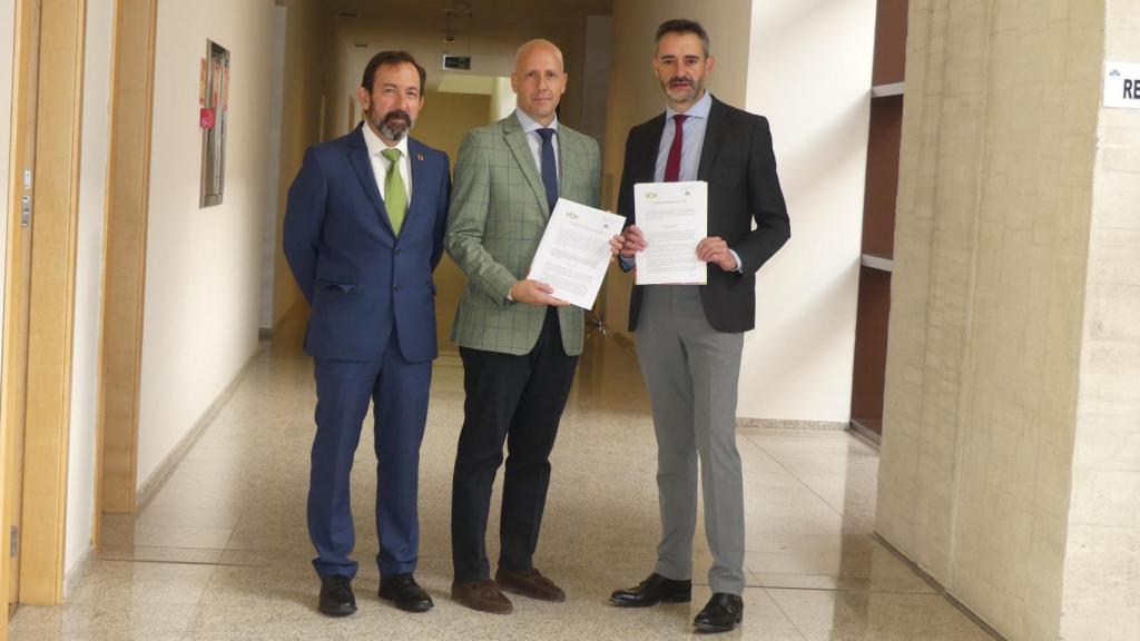 El Grupo Parlamentario Vox en Castilla y León ya ha presentado más iniciativas en favor de la soberanía energética