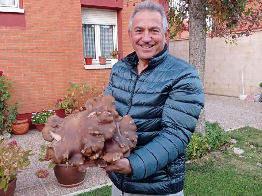 El de Mucientes presume de seta.