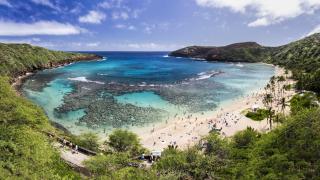 Vista aérea de los corales de la Bahía de Hanauma, en Honolulu (Hawái).