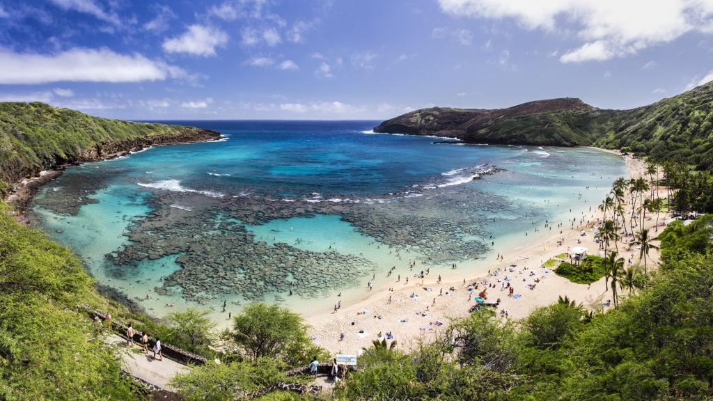 Vista aérea de los corales de la Bahía de Hanauma, en Honolulu (Hawái).