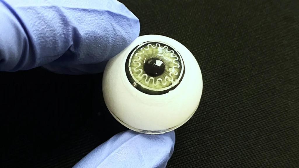 La lentilla inteligente.