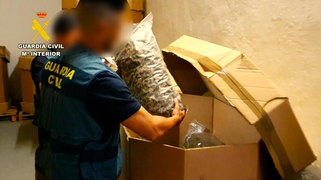 En la imagen, el registro realizado en las naves de la Comunidad Valenciana a inicios de mes.