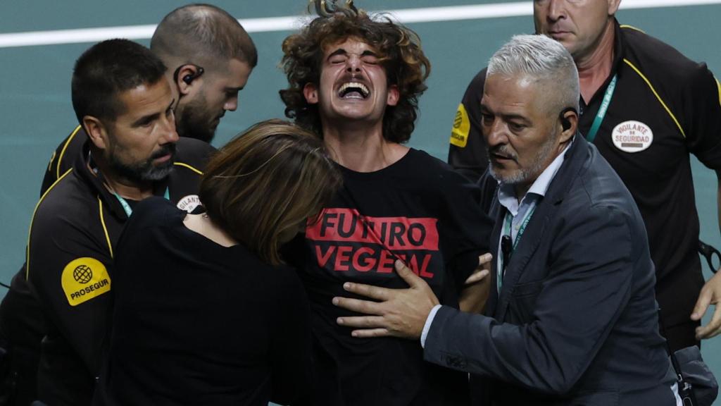 Un espontáneo salta a la pista del Martín Carpena en el Croacia vs. España de la Copa Davis