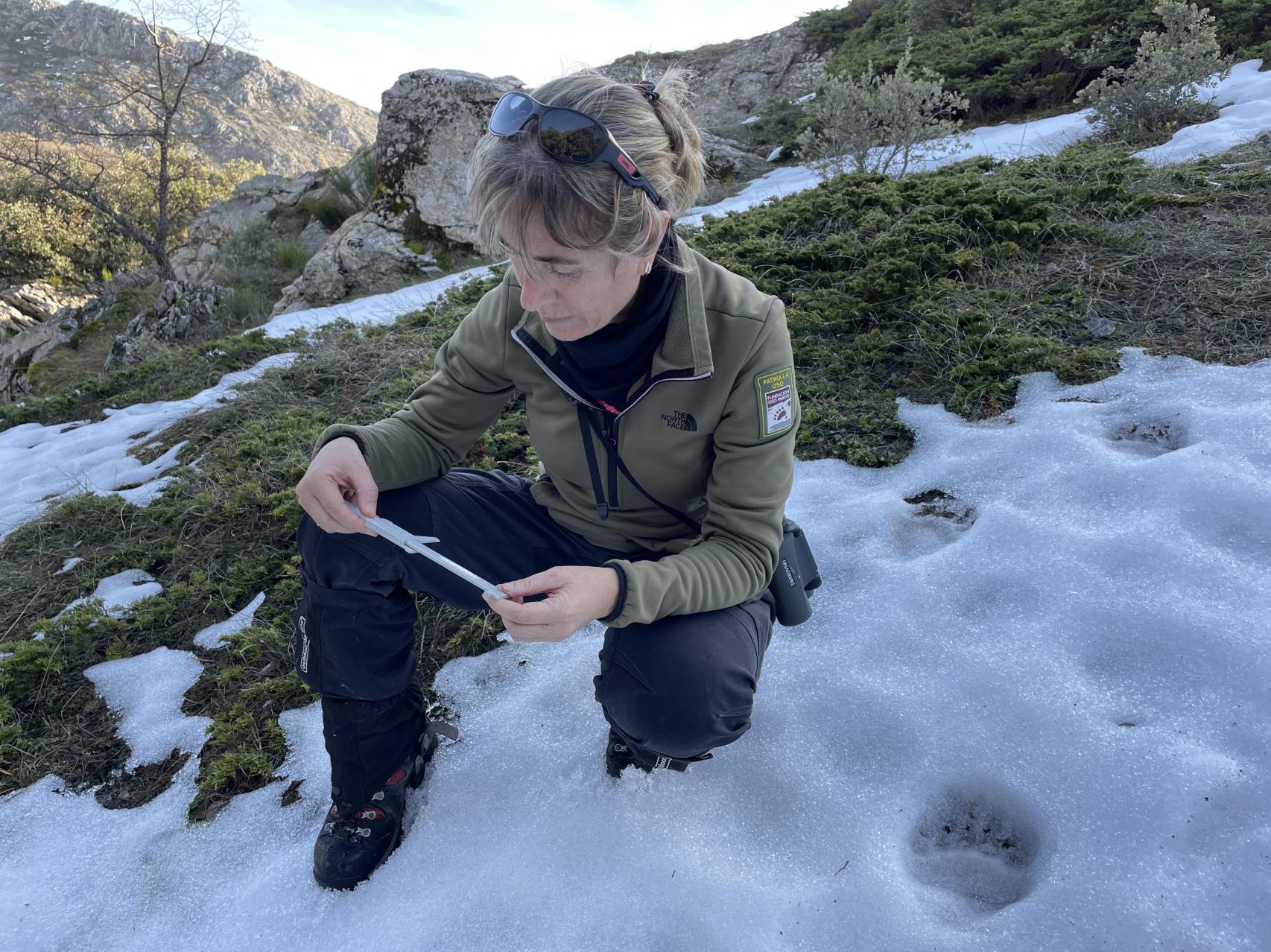 Begoña observando la huella de un oso
