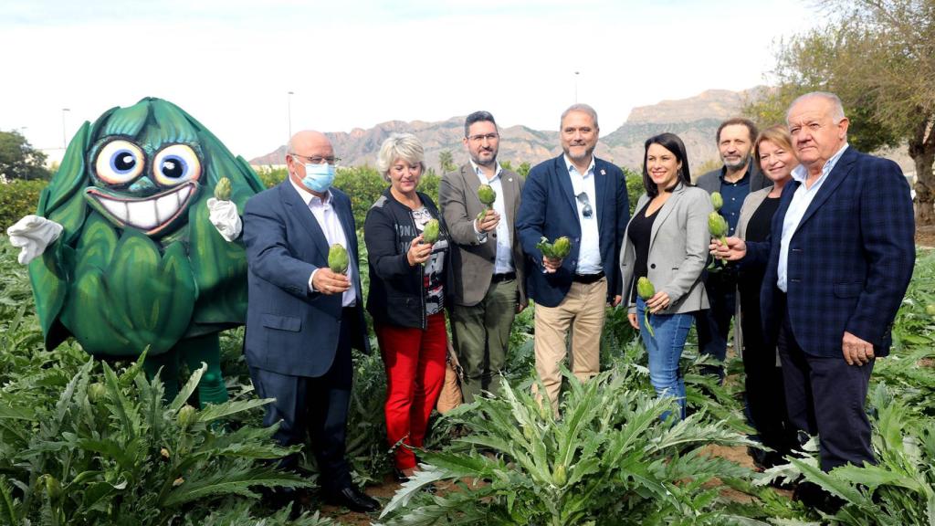 Recolección de la alcachofa.