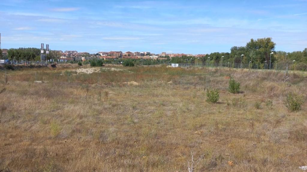 Una de las parcelas municipales del Ayuntamiento de Santa Marta.