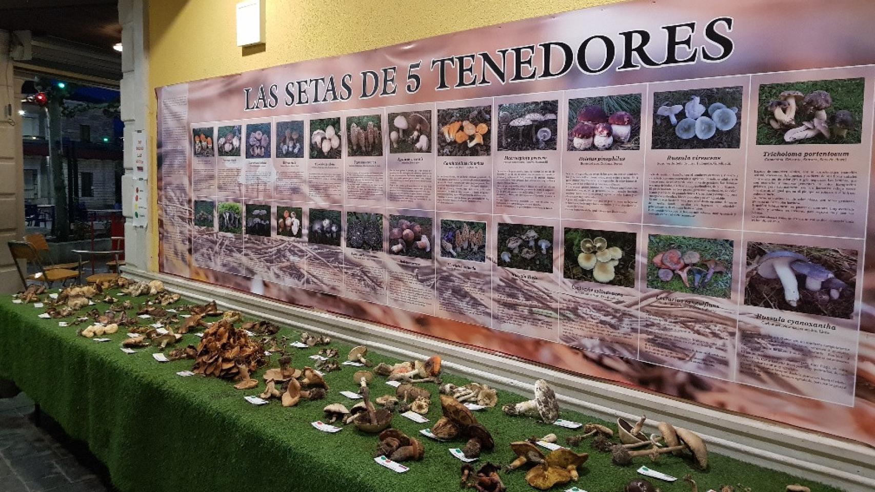 De Setas por Montemayor de Pililla