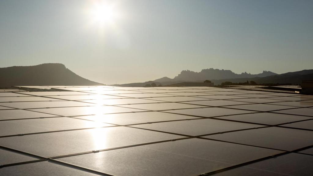 Paneles solares instalados en el techo de la fábrica.