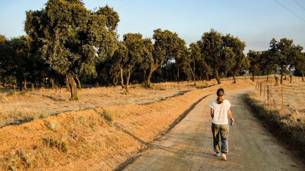 Ruta por el hotel de Hábitat Cigüeña Negra.