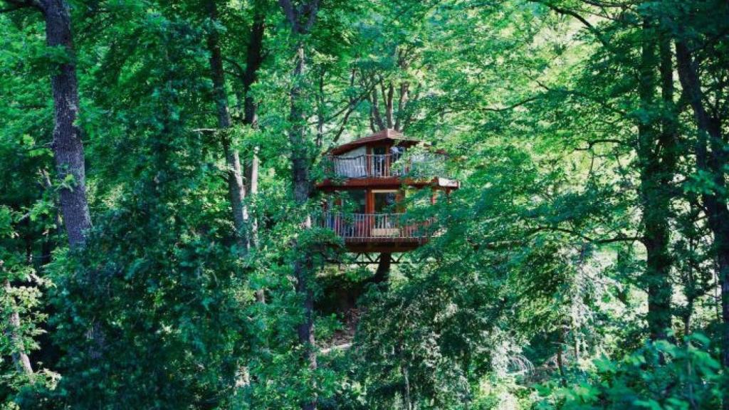 La cabana a l'arbre del Vilaro o la cabaña en el árbol de Vidra (Girona).