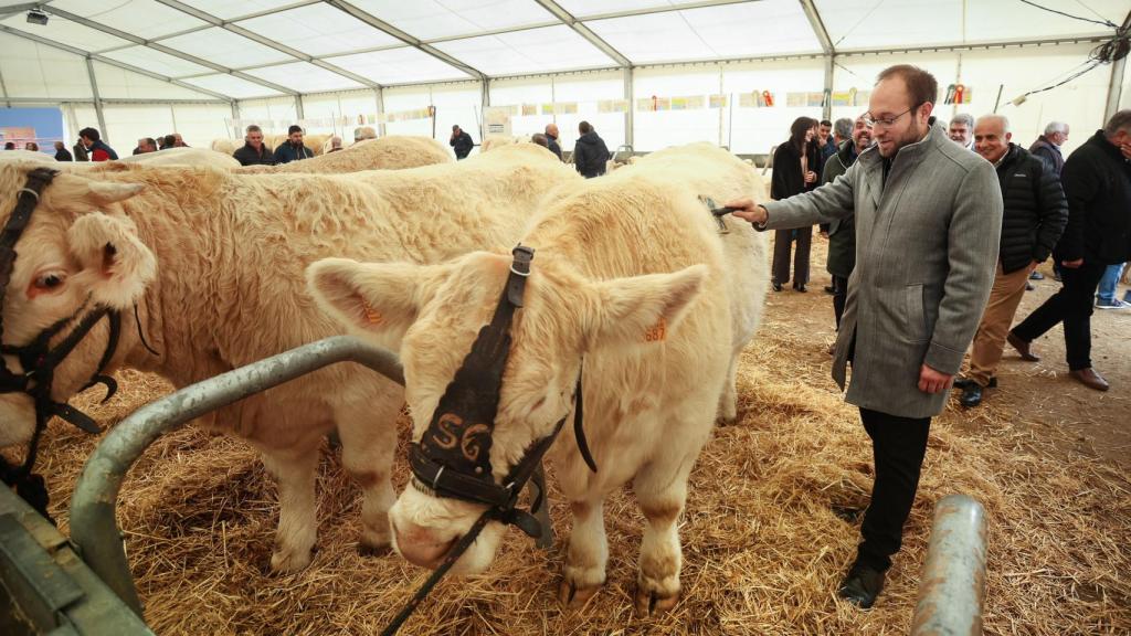El alcalde de Ciudad Rodrigo, Marcos Iglesias, visita la Feria de San Andrés