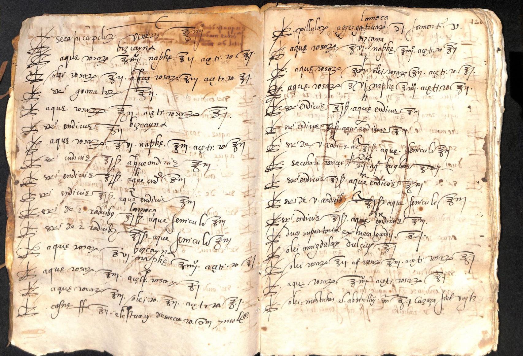 Recetario de medicina del boticario Fernando de Carcassone (1564)