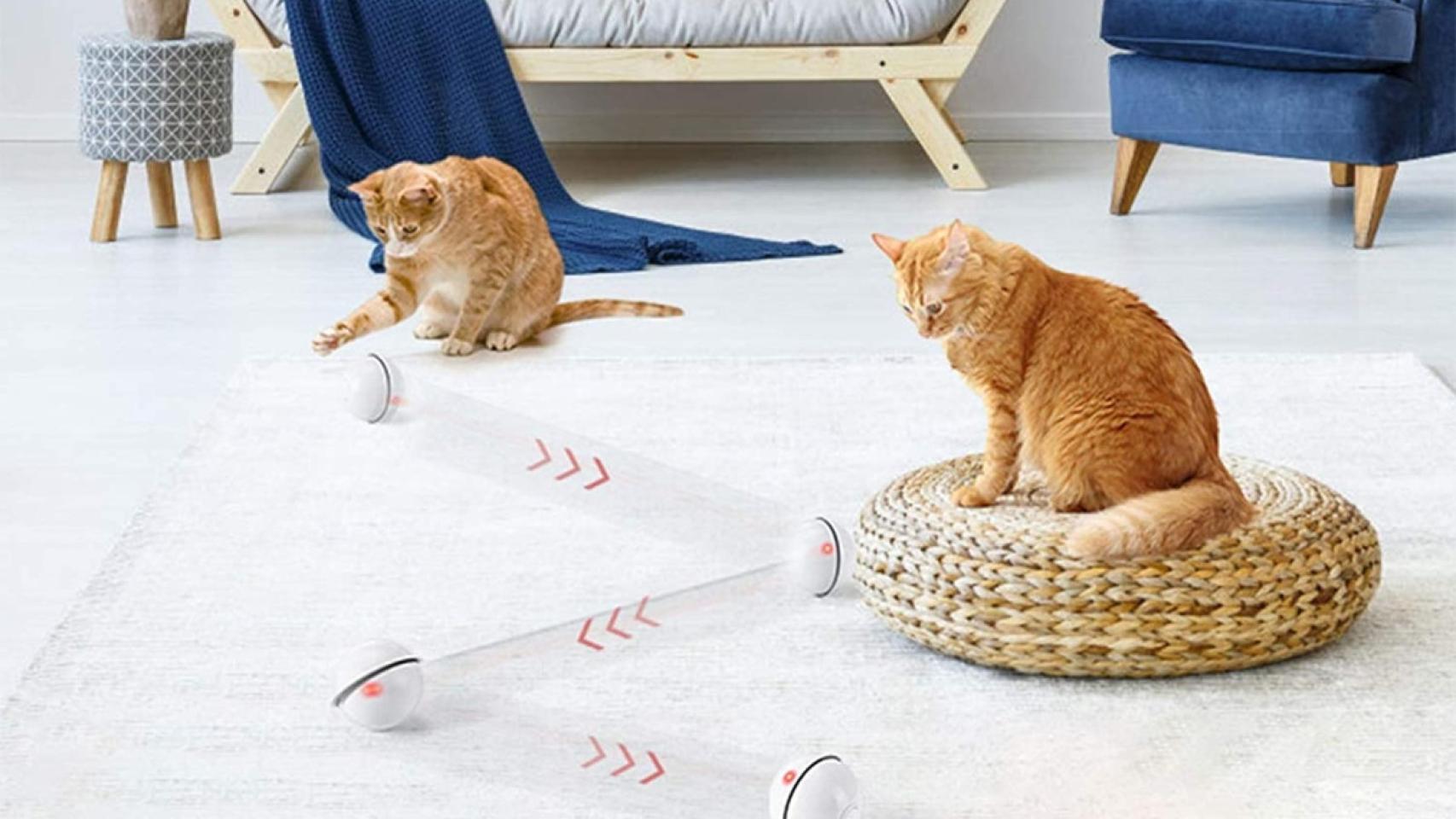 Juguetes De Plumas Para Gatos - Pack De 6 Repuestos Con Campana, Para Teaser O Colgar - Estimula El Juego, El Ejercicio Y Reduce El Aburrimiento