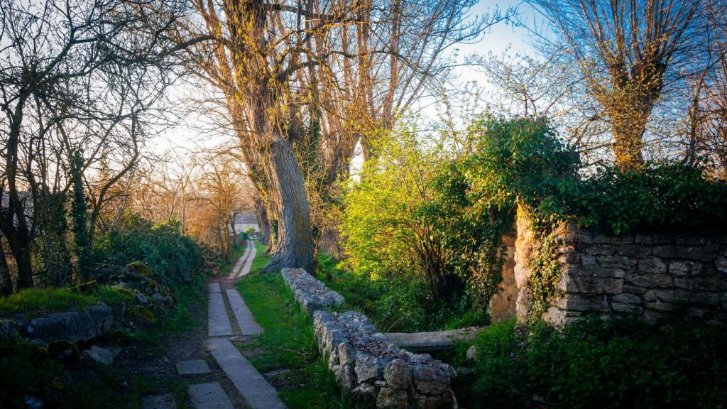 Una ruta en la localidad burgalesa