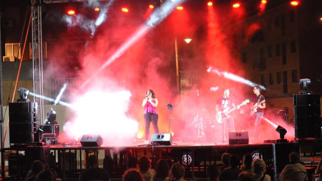 Imagen de un concierto