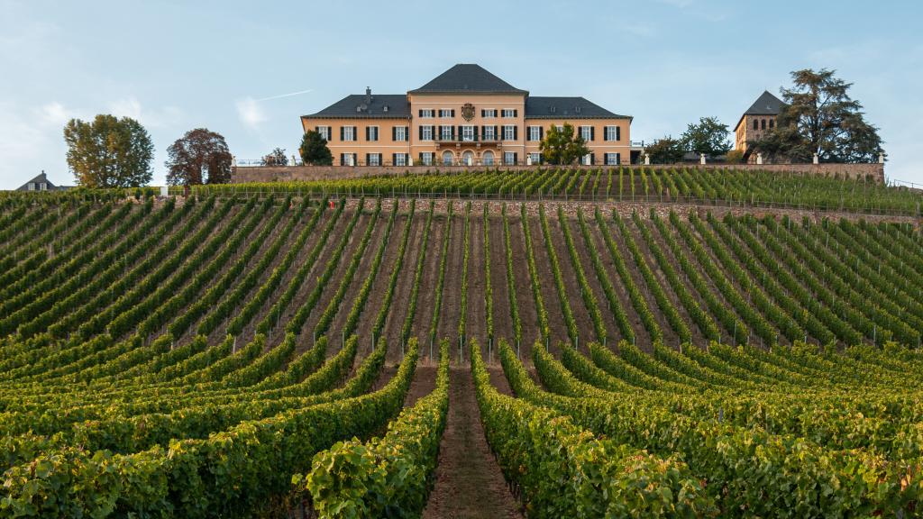 Schloss Johannisberg