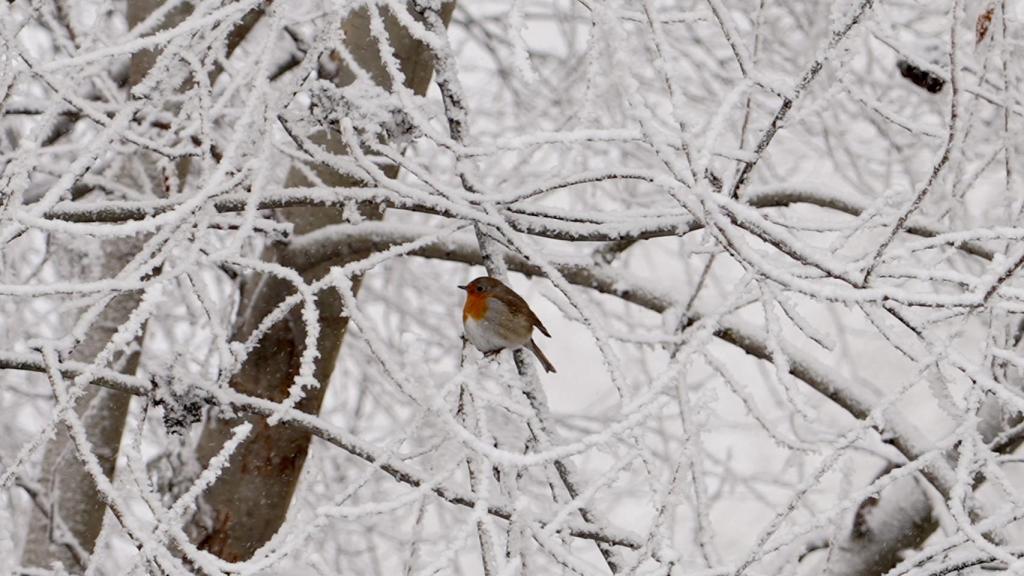 El frío llega a Castilla y León
