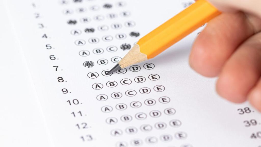 Un modelo de test de inteligencia.