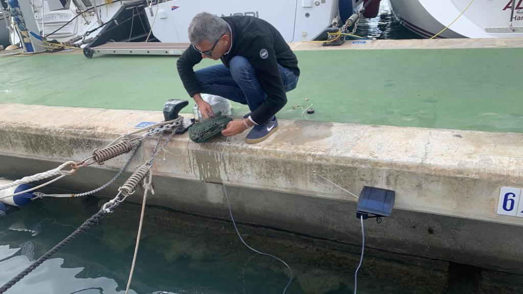 Jaime Morell durante los trabajos para el proyecto de biorremediación en Alcudiamar.