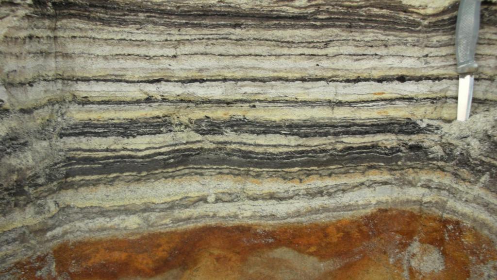 Sedimentos de materia orgánica en las muestras de la formación Kap København, en el norte de Groenlandia.