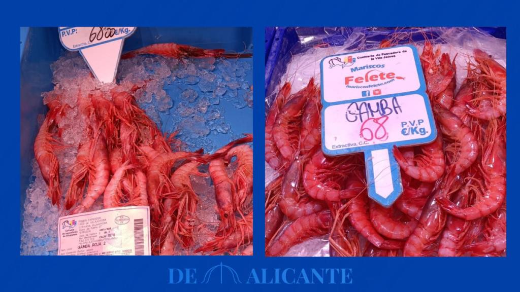 Gamba roja de bahía de Alicante del número 2.