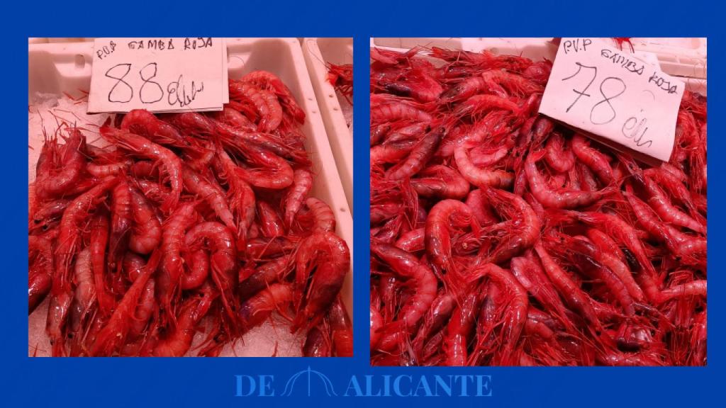 Otros precios de la gamba roja en Alicante.