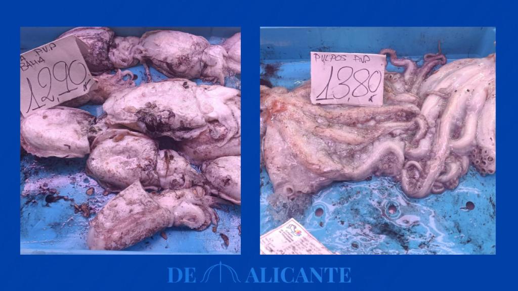 Sepia y pulpo de bahía del Mercado Central de Alicante.
