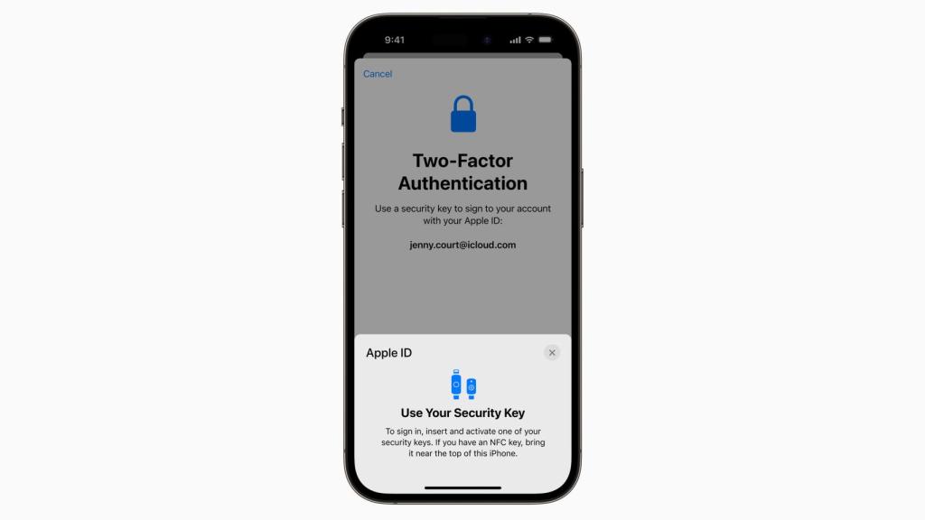 Uso de claves de seguridad físicas.