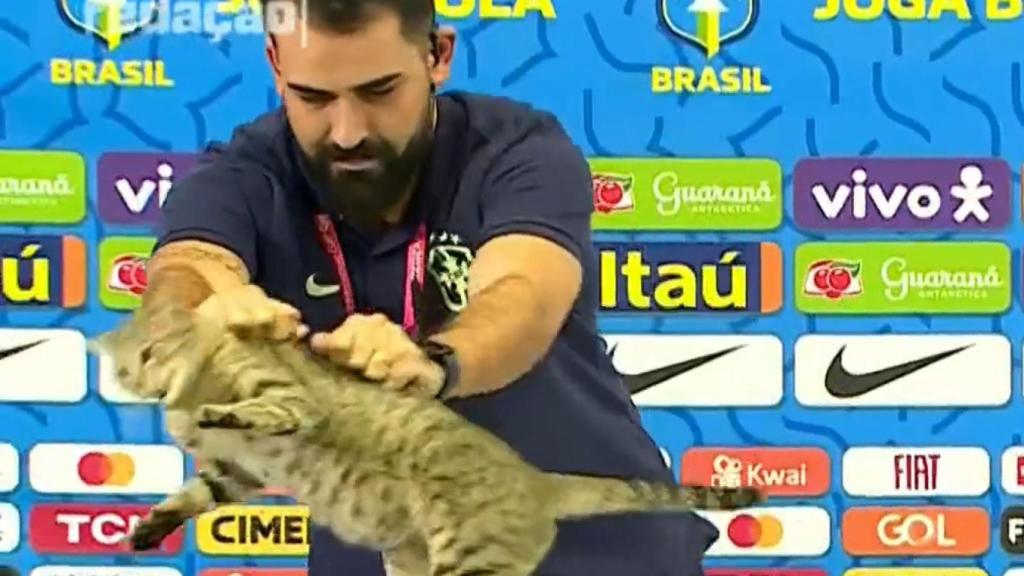 El jefe de prensa echando al gato