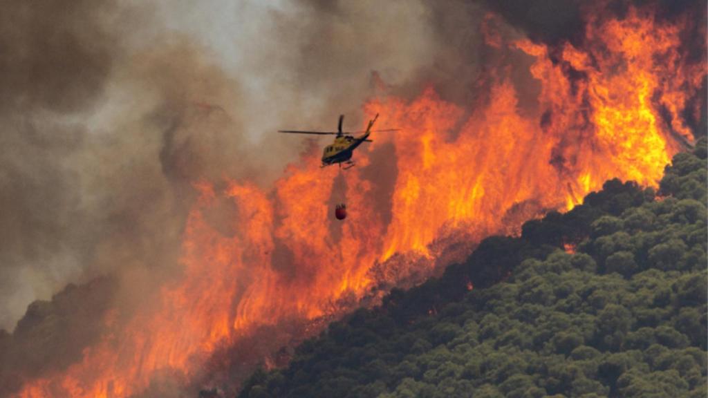 La foto premiada en la modalidad de Fotoperiodismo en los Premios Andalucía de Periodismo.