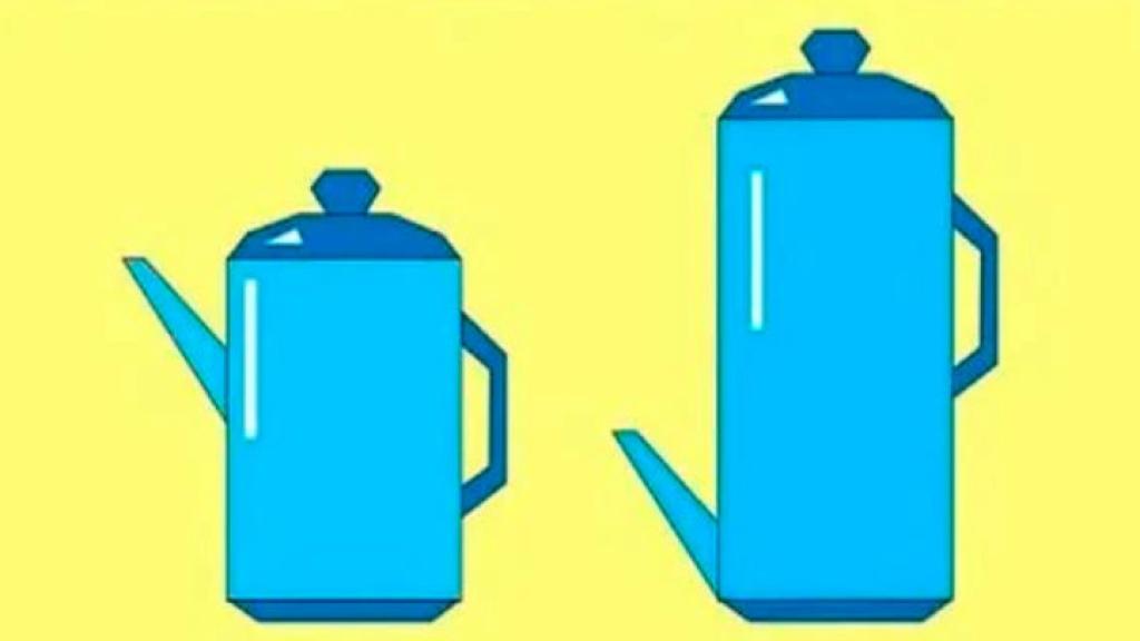 Imagen del acertijo viral.