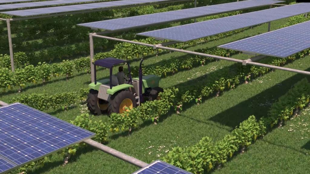 La energía fotovoltaica tiene en su próxima conjunción con la agricultura y el sector rural su nuevo reto de futuro de la mano de la industria agrovoltaica, cuya tecnología está en desarrollo en nuestro país.