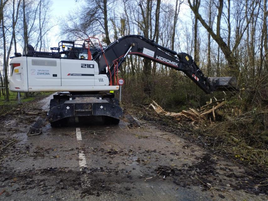Imagen de los trabajos que se realizan este miércoles para despejar la carretera Argujillo, en El Maderal.