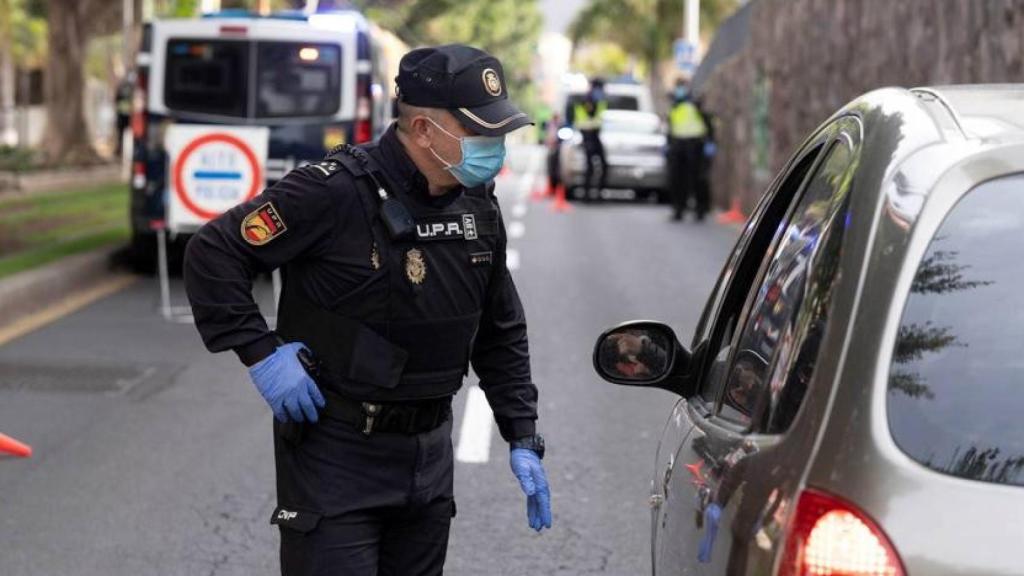 Caja con las plantas de marihuana.