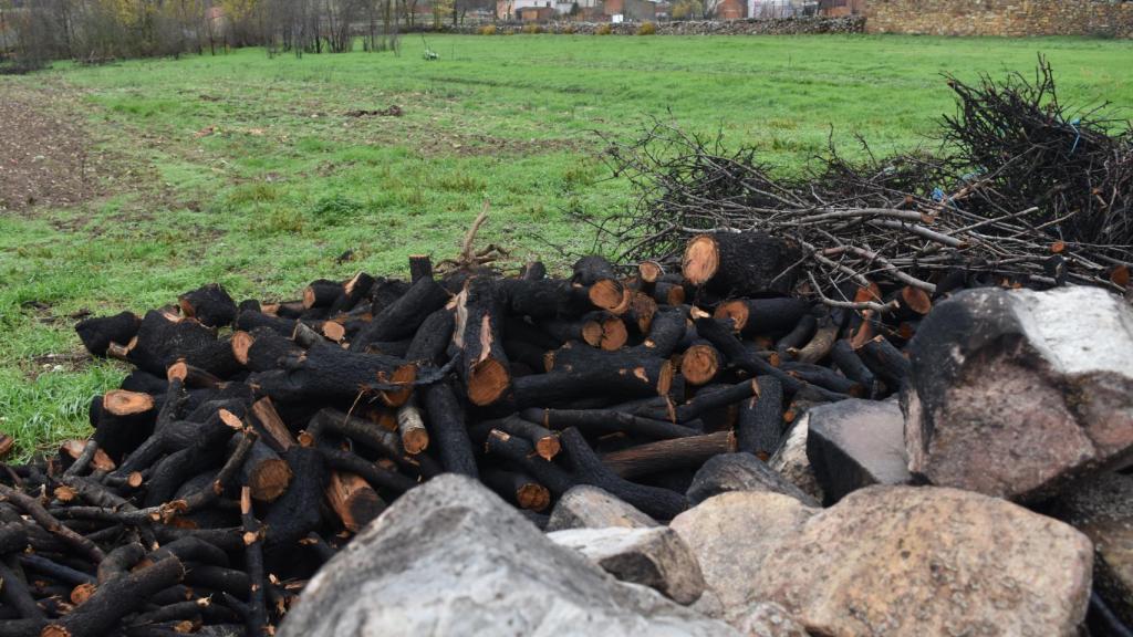 Leña quemada cortada en las calles de San Martín de Tábara