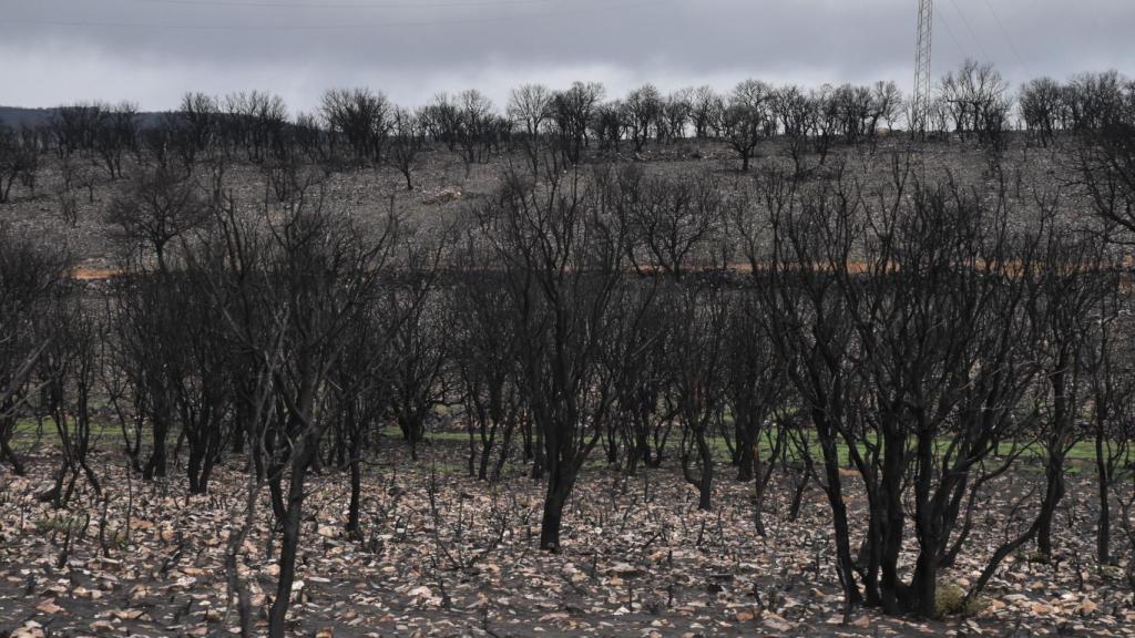 Sierra de la Culebra