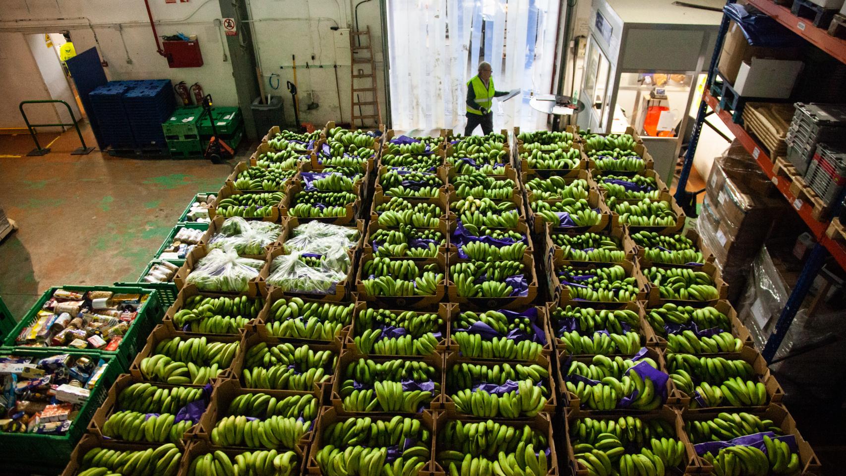 Cajas llenas de plátanos en el almacén del Banco de Alimentos