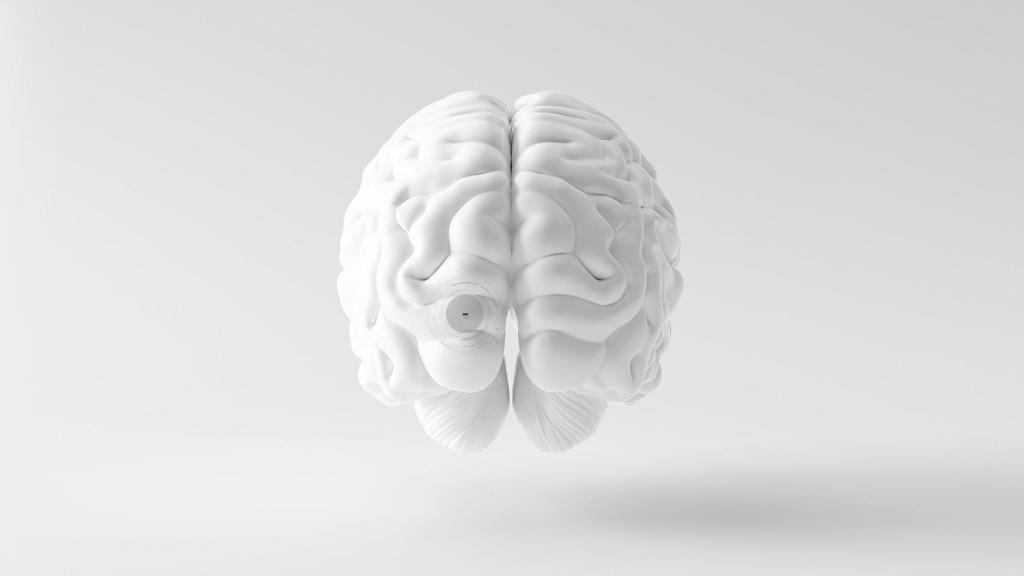 Los científicos de Bionaut han descubierto nuevas rutas hacia el cerebro.