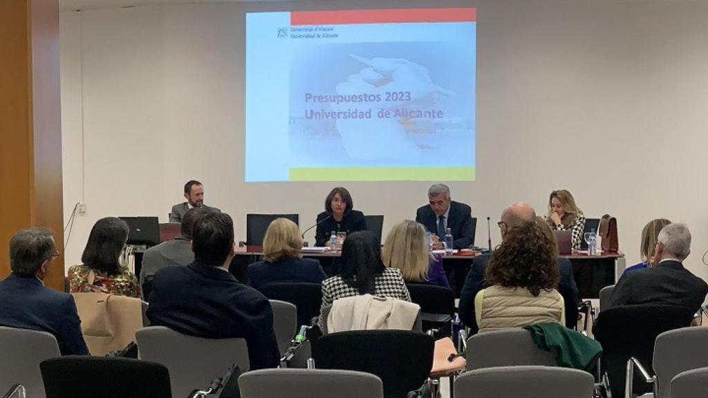 Un instante durante la celebración del Consejo Social de la UA celebrado hoy.