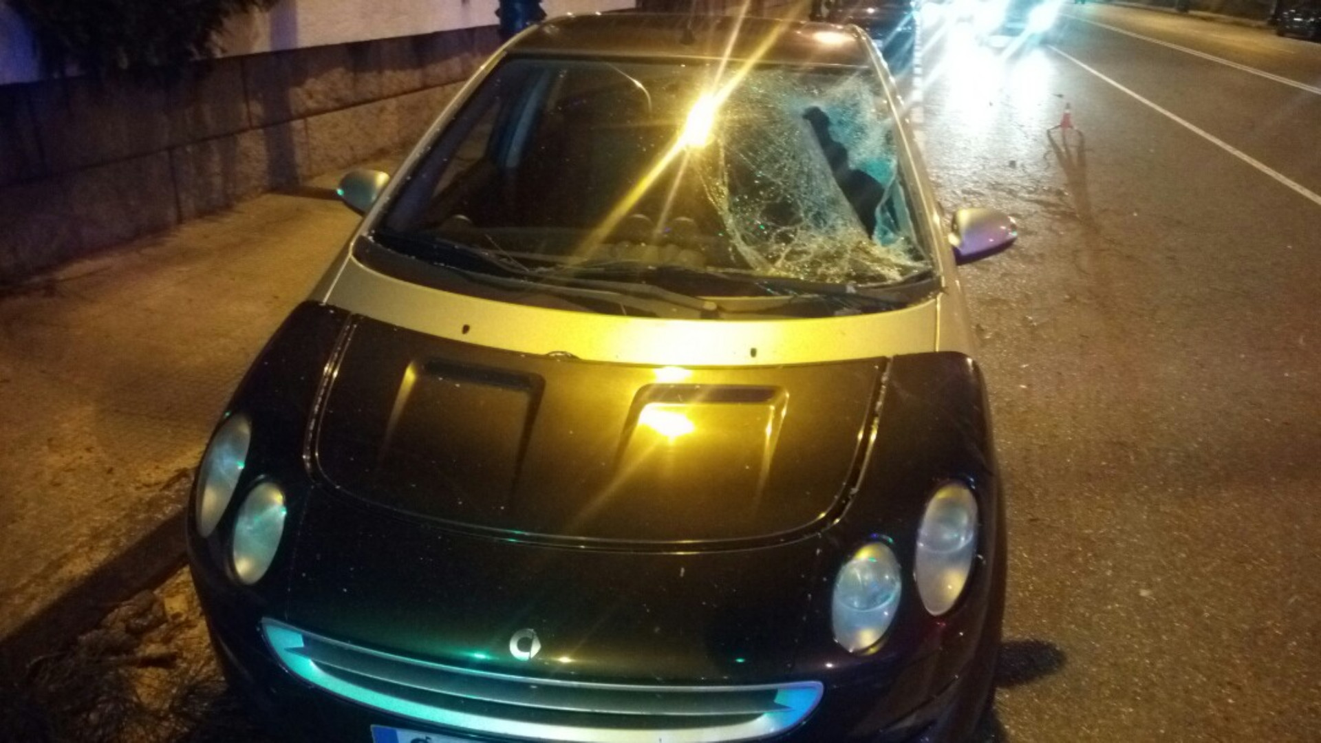 Estado en el que quedó el coche sobre el que cayó el pino. Foto: Policía Local de Vigo
