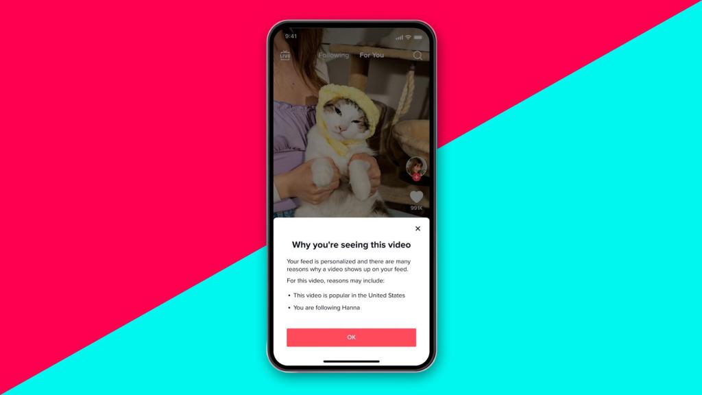 Fotomontaje con una captura de TikTok.