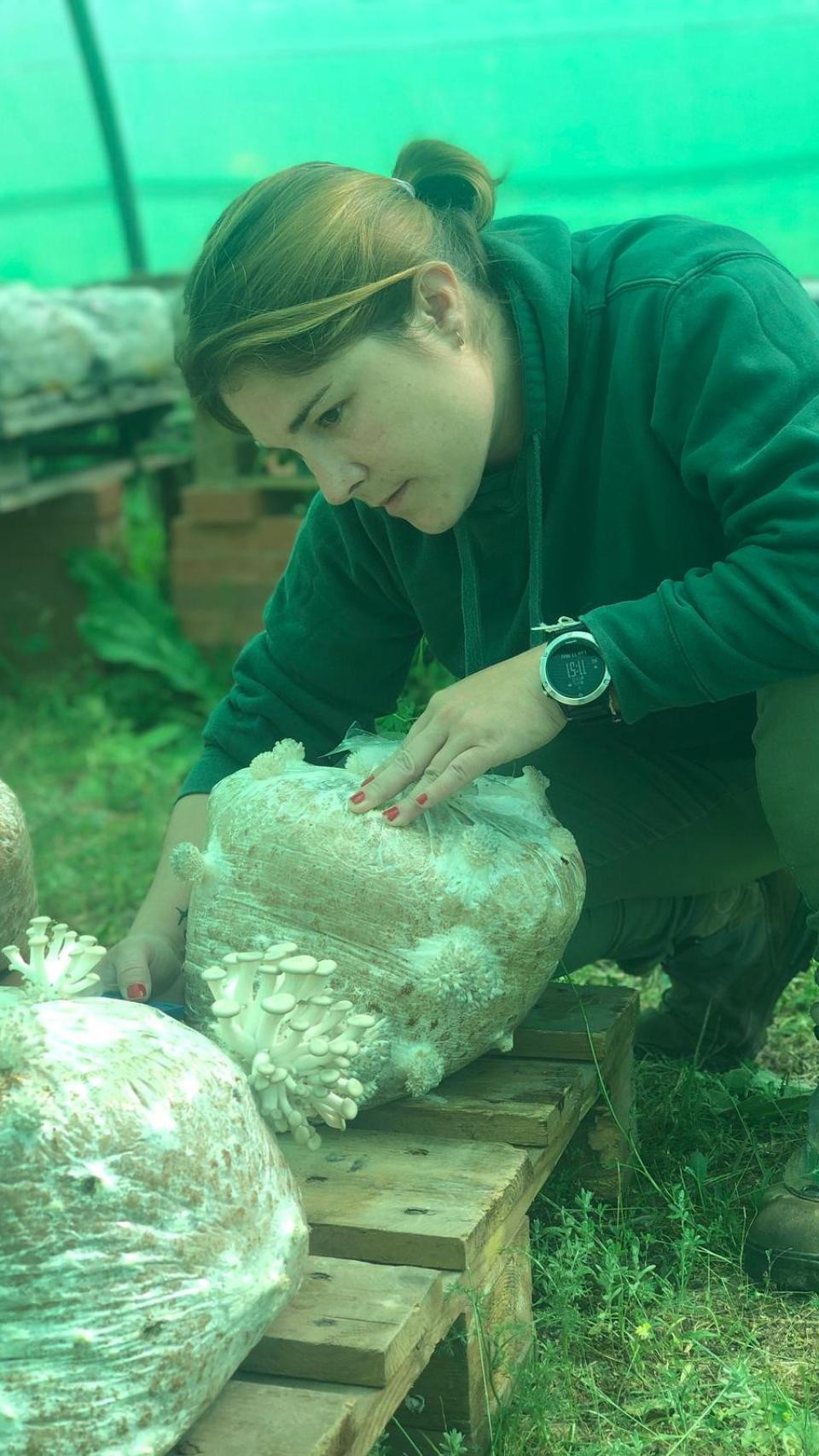 Mateos posa con los micelios