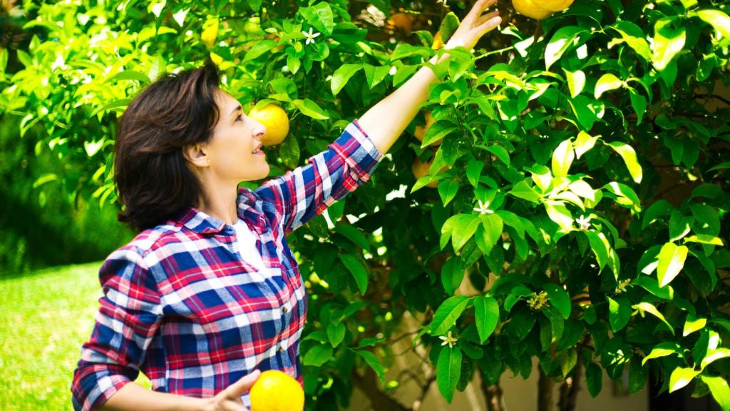 Paloma Gil apuesta por una dieta saludable en la que se incluyan frutas y verduras.